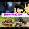 jennyffer22120 - éleveur de chevaux Horzer
